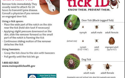 From Lyme to Lice: A Presentation on “Things That Bite At Camp”