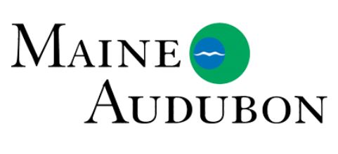 Maine Audubon – Fields Pond Camp